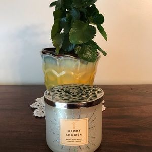 Bath & Body Works Merry Mimosa Candle, 14.5 oz